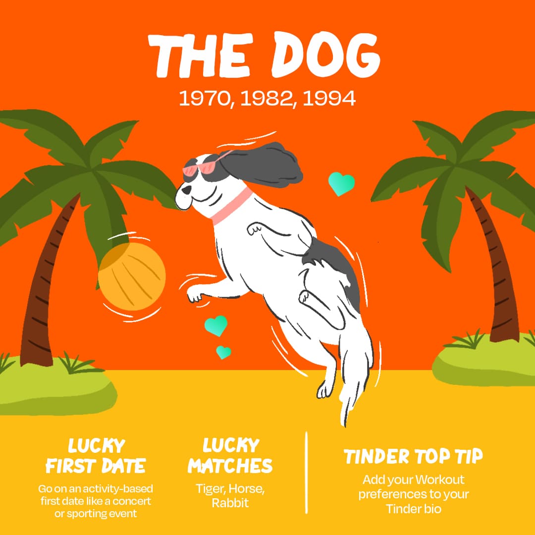 Tinder First Date Fortunes The Dog l