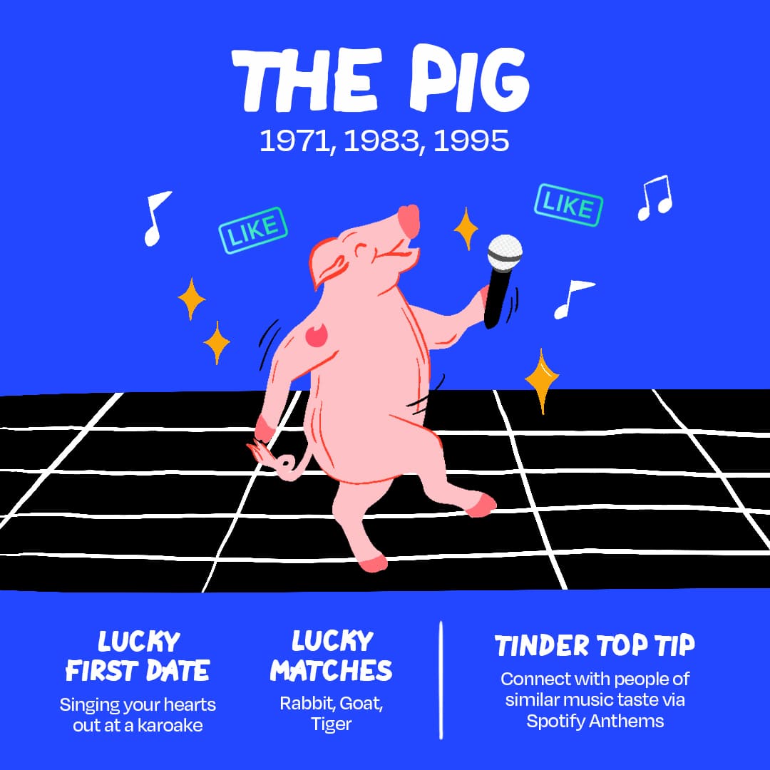 Tinder First Date Fortunes The Pig l