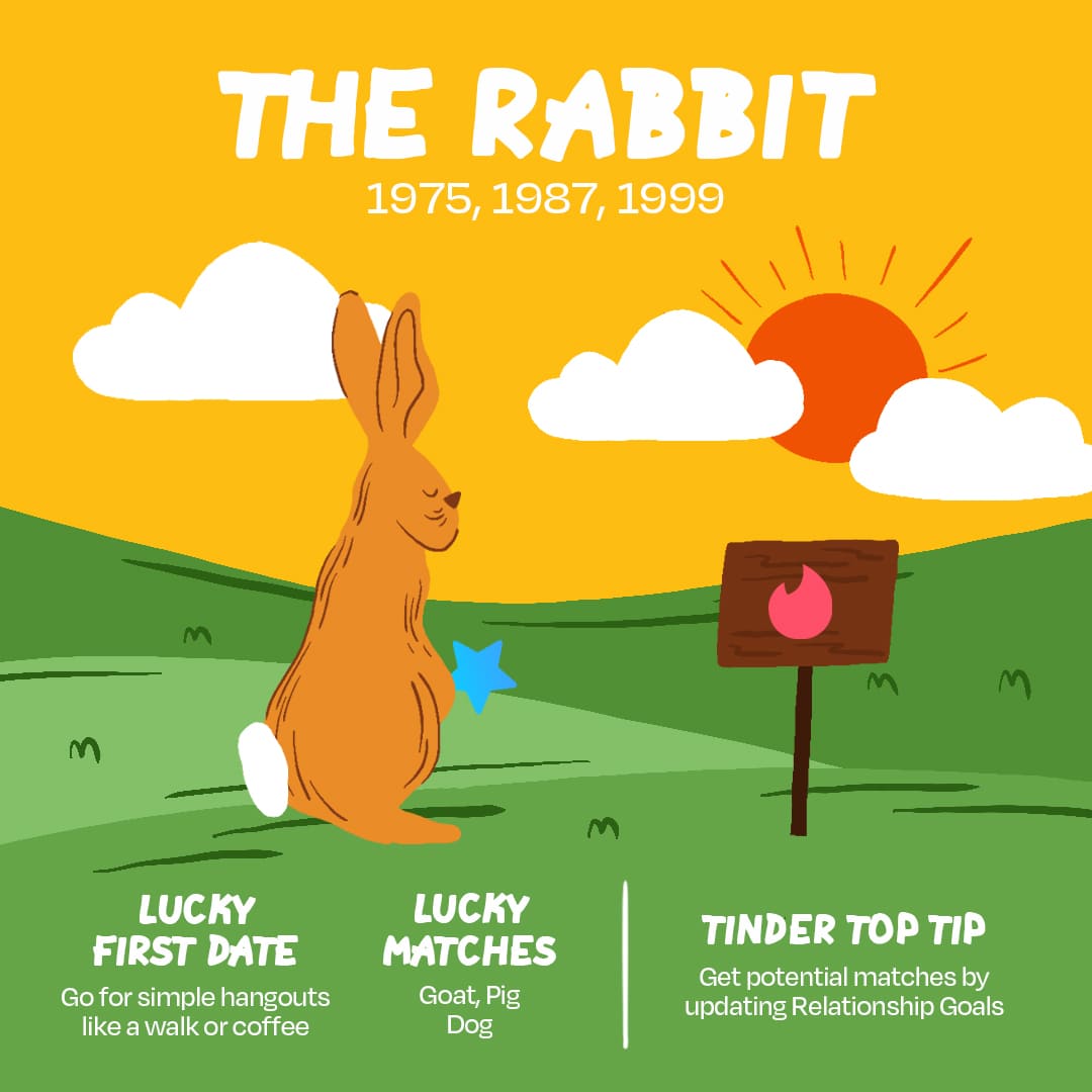 Tinder First Date Fortunes The Rabbit l
