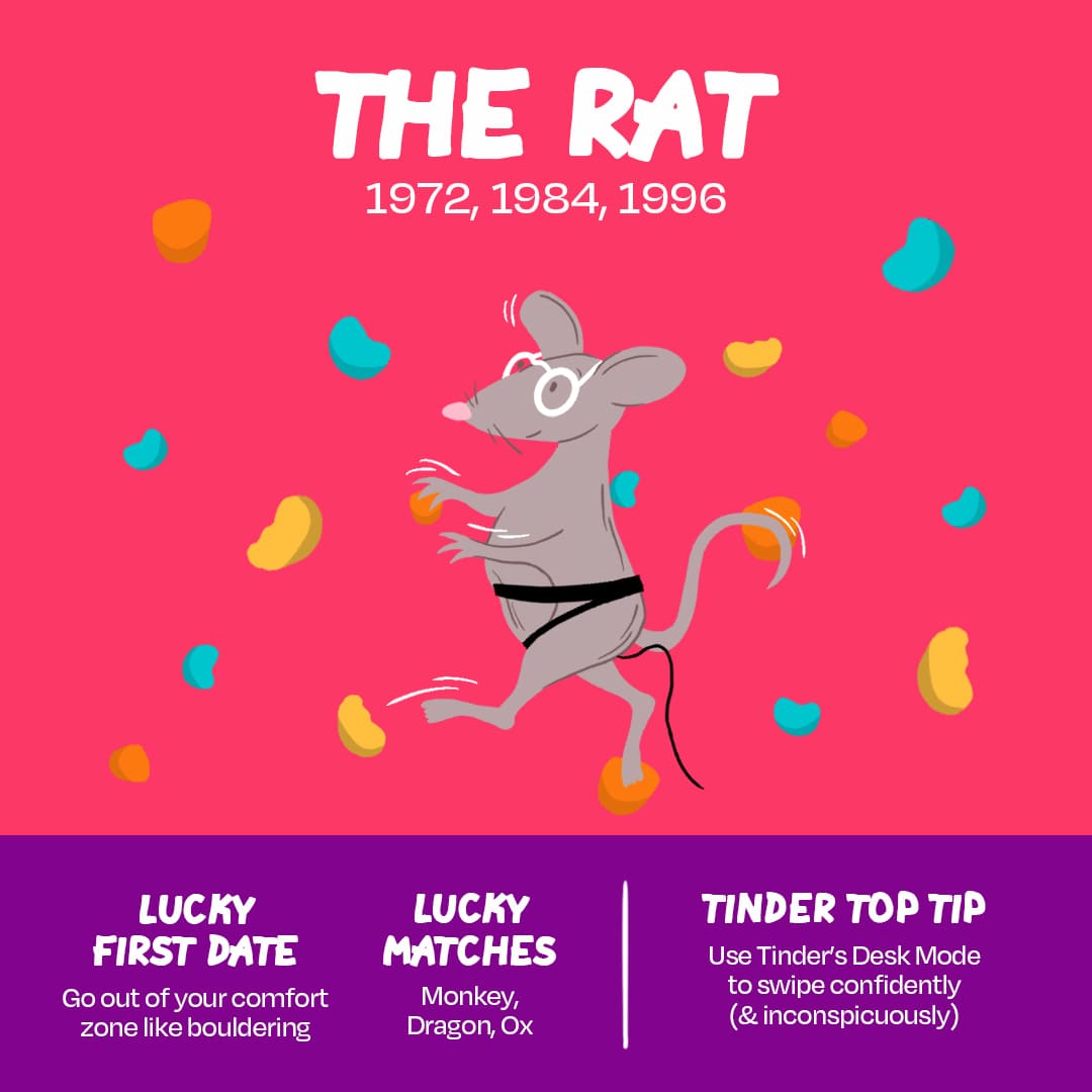 Tinder First Date Fortunes The Rat l