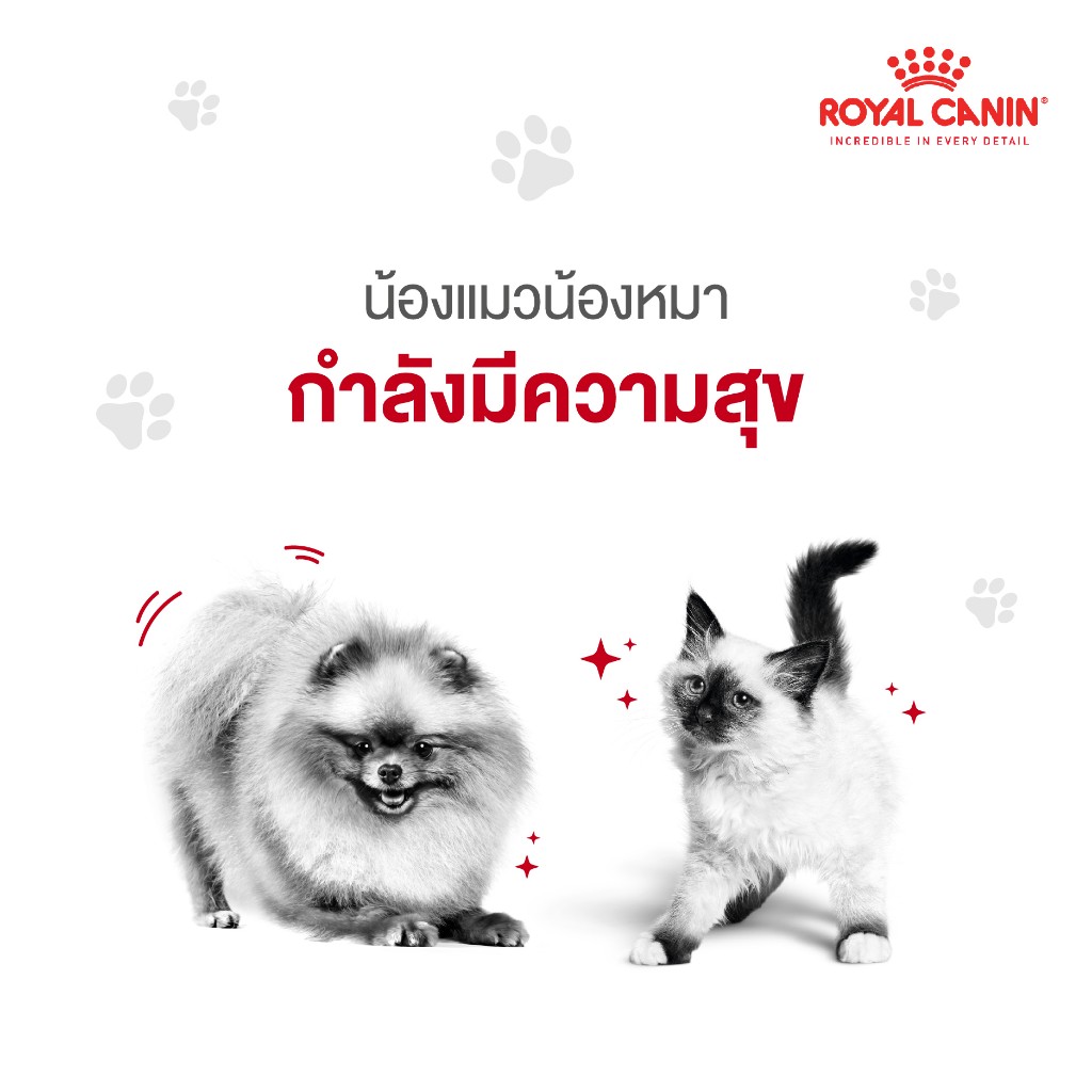 Royal Canin What is our pet trying to tell us 02