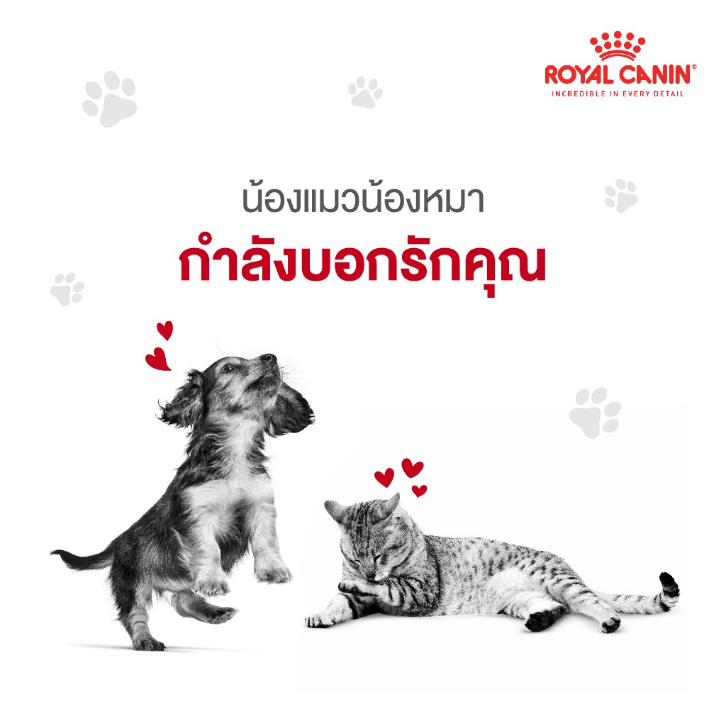 Royal Canin What is our pet trying to tell us 03