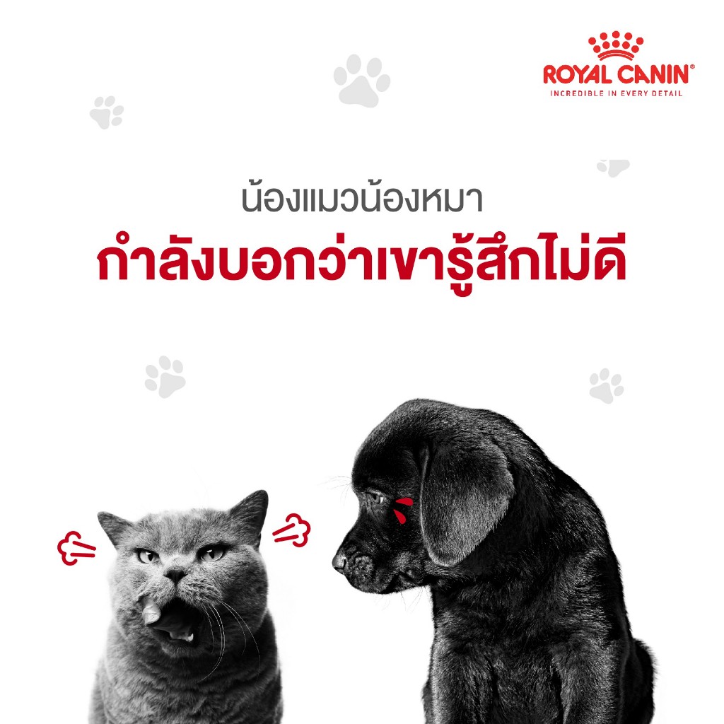 Royal Canin What is our pet trying to tell us 04