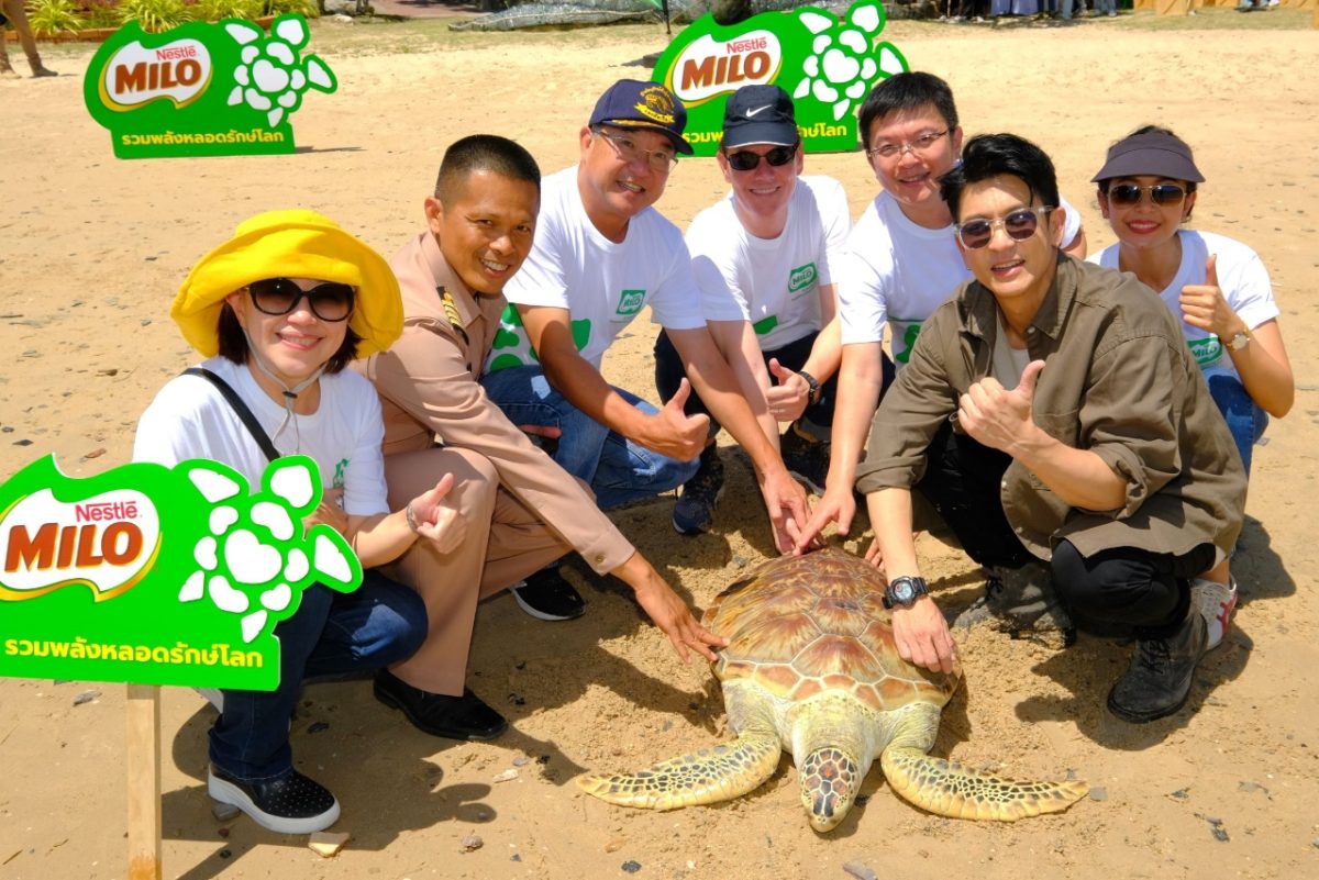 Turtle Releasing RV