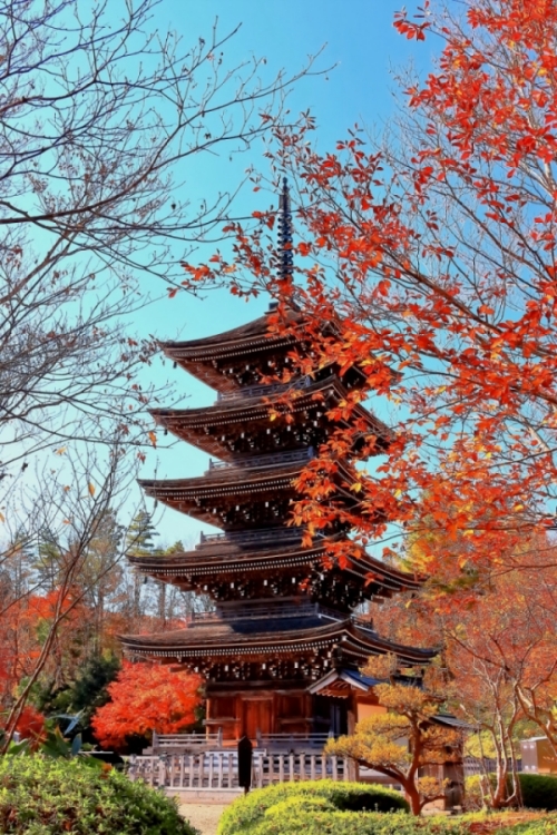 4.Jogi Nyorai Saihoji Temple resize