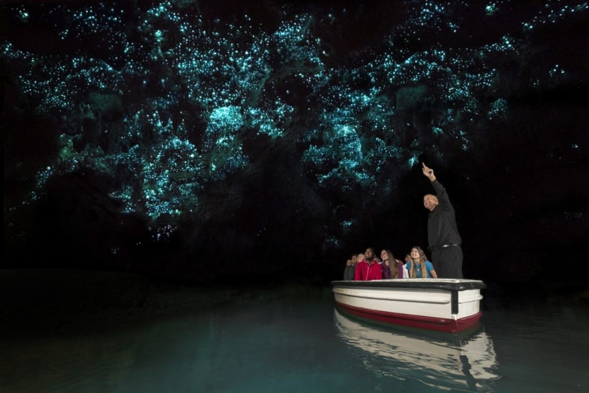 4 Waitomo Glowworm Caves Waikato CREDIT Corin Walker Bain