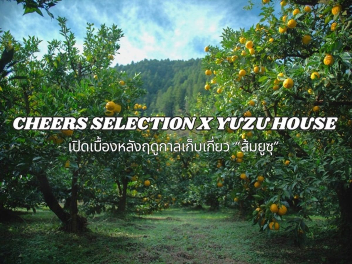 Cheers Selection x Yuzu House 1