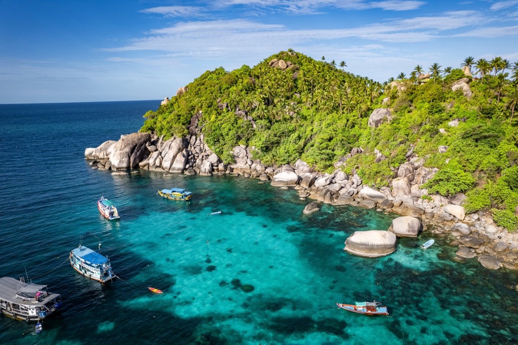 Shark Bay koh Tao