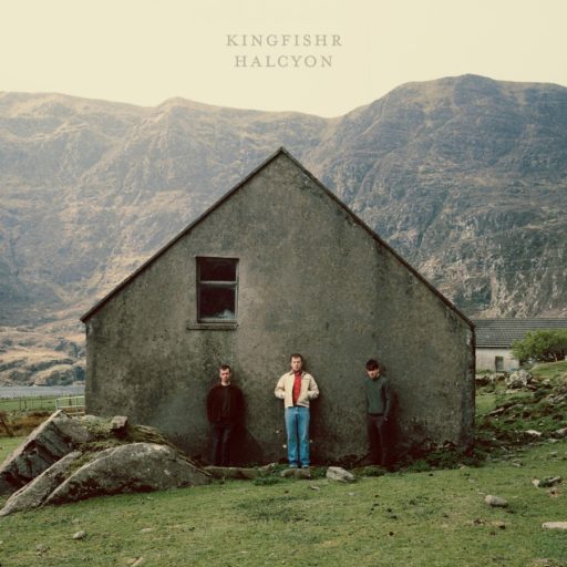 KINGFISHR HALCYON COVER