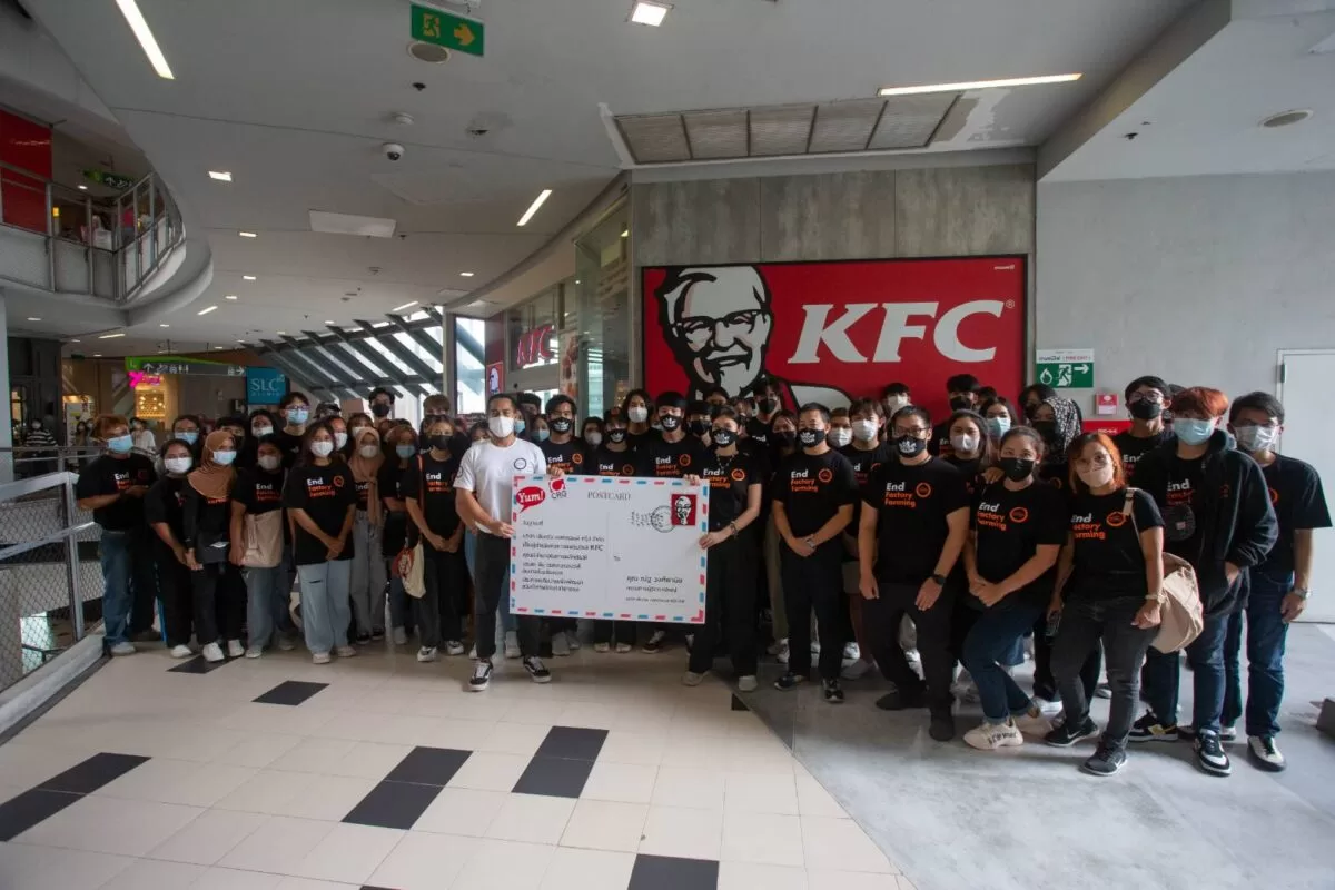 ผู้บริโภคและอาสาสมัครฮีโร่พิทักษ์สัตว์ ยื่นจดหมายเร่งกดดัน KFC แฟรนไชส์ซี 3 ยักษ์ใหญ่ยุติการทรมานไก่อย่างเร่งด่วน 3 ยื่นจดหมายเร่งกดดัน KFC 1