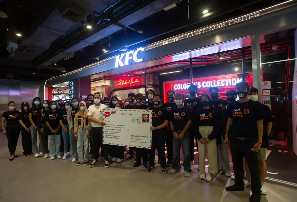 ผู้บริโภคและอาสาสมัครฮีโร่พิทักษ์สัตว์ ยื่นจดหมายเร่งกดดัน KFC แฟรนไชส์ซี 3 ยักษ์ใหญ่ยุติการทรมานไก่อย่างเร่งด่วน 5 ยื่นจดหมายเร่งกดดัน KFC 2