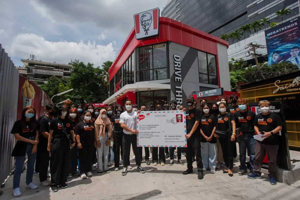 ผู้บริโภคและอาสาสมัครฮีโร่พิทักษ์สัตว์ ยื่นจดหมายเร่งกดดัน KFC แฟรนไชส์ซี 3 ยักษ์ใหญ่ยุติการทรมานไก่อย่างเร่งด่วน 4 ยื่นจดหมายเร่งกดดัน KFC 3