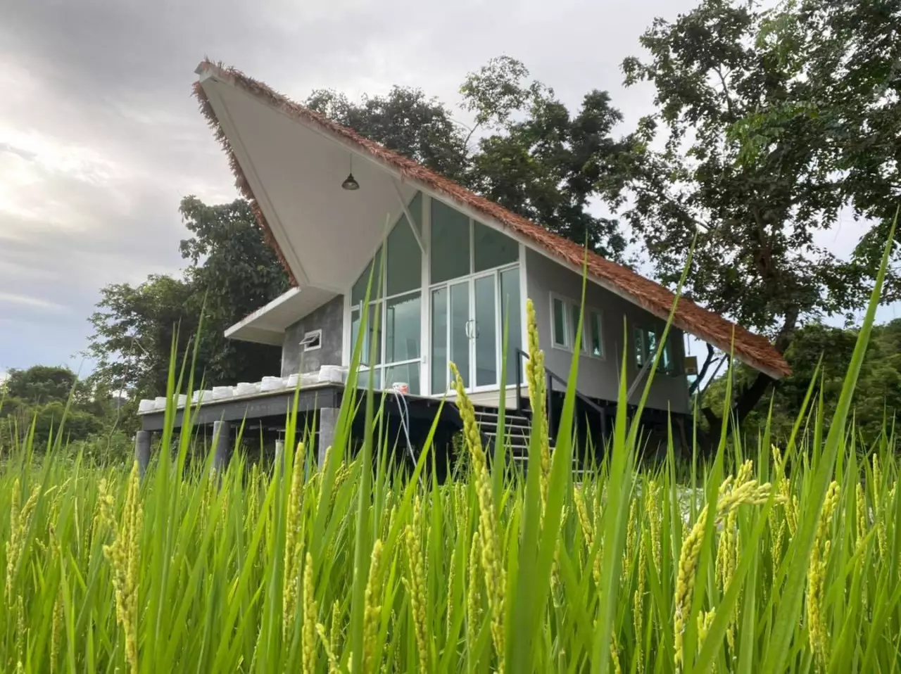 Modern House with Farmstay m